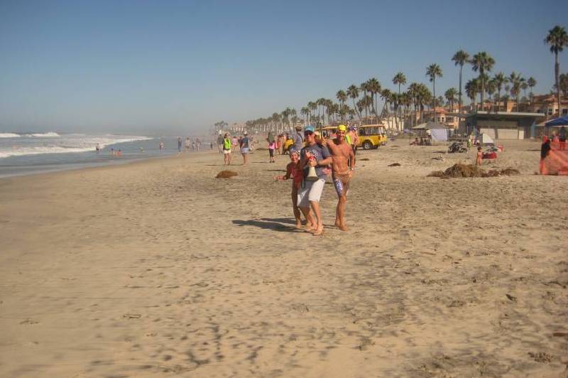 Palm trees line the sandy shore