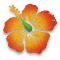 Vibrant tropical flower drawing